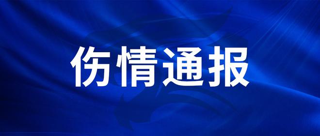 三镇官方：刘若钒比目鱼肌受伤，巴尔德股二头肌受伤